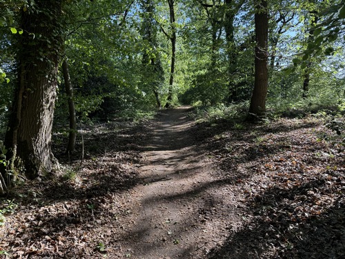 Peu après le château, le chemin (GR23) s'éloigne des roches et devient plus paisible.