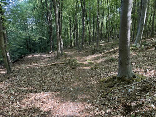 Descente vers la vallée du Catelier.