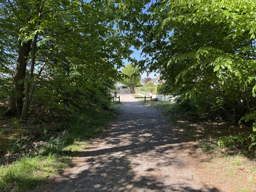 Sortie de la forêt domaniale à quelques pas du parking.