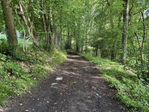 Ce délicieux chemin longe le Bois des Mines. Attention en février 2021, en suivant notre circuit de Villers-Écalles après des pluies abondantes, nous avons trouvé ce chemin inondé et impraticable.