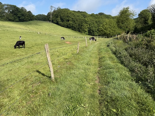 Chemin du Bois des Mines au niveau de la ferme de la Quesnelière.