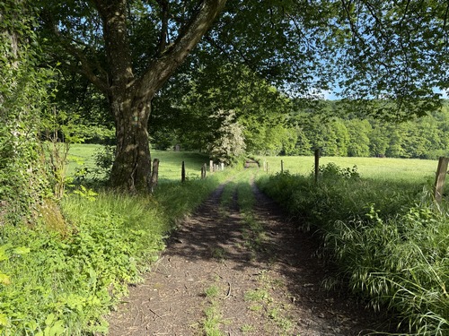Le chemin se termine au niveau de la rue du Bois Sauvage de Villers-Écalles.