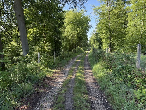 La rue de l'Enfer se continue en chemin après la dernière maison et entre dans le bois des Mines.