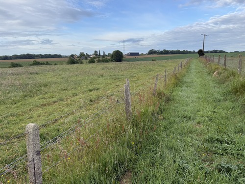 Premier chemin de ce circuit qui s'équilibre entre petites routes tranquilles, et chemins souvent boisés.