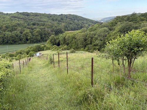 La descente vers la vallée de la Fontenelle offre une belle vue jusqu'au Pont de Brotonne.
