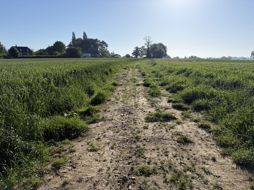 Le Chemin de Carville devient un vrai chemin après la dernière maison, une ancienne petite ferme en cours de restauration.