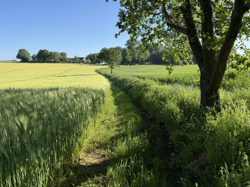 Délicieux chemin entre Limare et le Val Rioly, délicieux et parfaitement entretenu comme on peut le voir.
