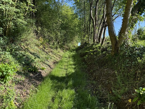 Les chemins se succèdent entre le Val Rioly et la Coupellerie.