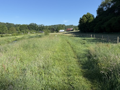 Nous sommes arrivés dans le Val au Cesne, site naturel classé. Un chemin est aménagé entre la D5 et le bois.