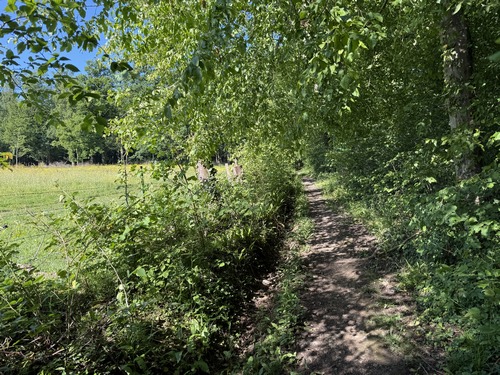 Le circuit continue juste en face de l'auberge, il monte dans le bois en direction de la Grande Quevallerie.