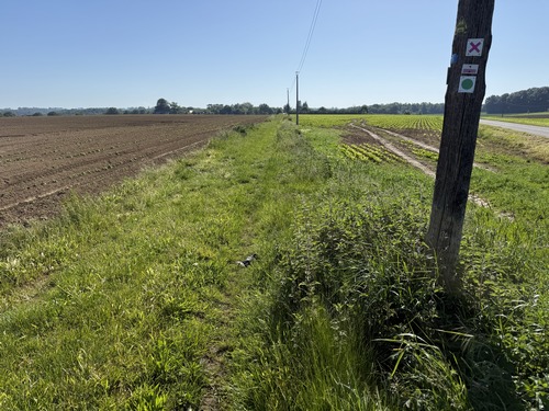 Plaine agricole du Verbosc. Le château du Verbosc est resté caché.