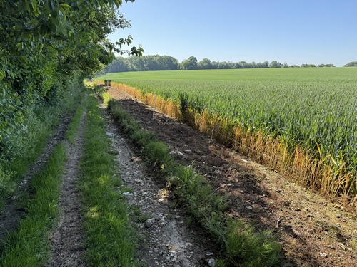 Plaine agricole du Berfolet.