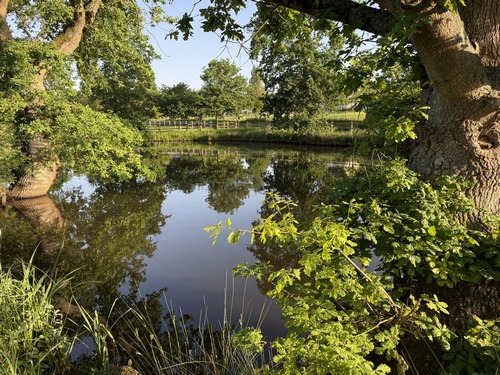 La mare Saint-Germain faisait l'objet d'un pèlerinage en raison de ses vertus, mais elle était surtout essentielle à la population et aux animaux d'une plaine sans rivière. Elle a été restaurée en 2023, et propose un espace de pique-nique.