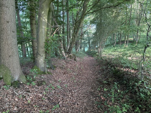 Après avoir longé les Ecuries de l'If, nous descendons dans le bois du Mont de l'If.