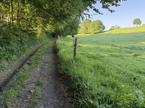 Large chemin le long du Bois du Mont de l'If.