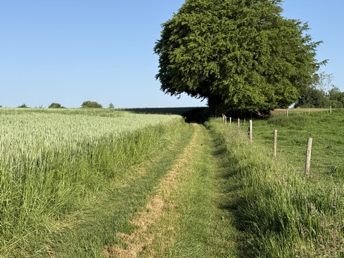 Certains chemins ne sont pas sur la carte, mais sont pourtant magnifiques en cette saison.