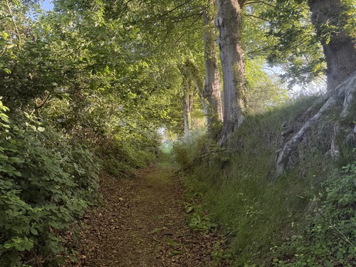 Nous contournons ce clos masure typique du Pays de Caux pour rejoindre la route du Mouchel.