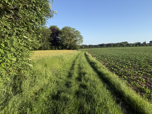 Chemin de Hameau-en-Caux.