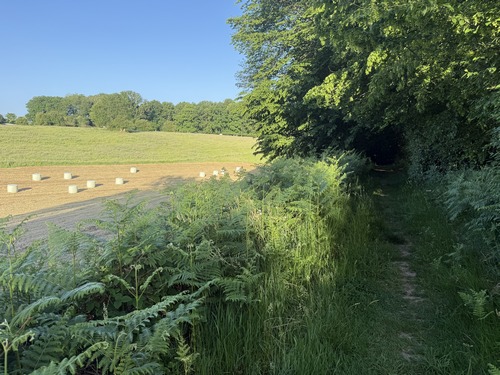 L'impasse devient un délicieux chemin après la dernière maison.