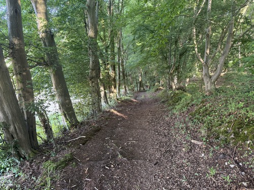 Nous entrons dans le bois de Côte Bailleul.