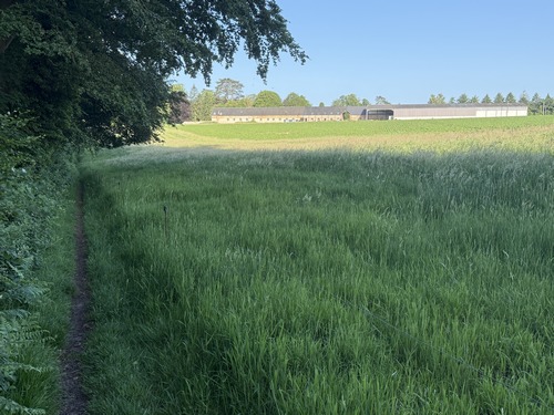 Arrivés sur le plateau, nous marchons vers le château, avec au loin les bâtiments de la ferme.