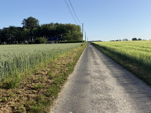 Nous continuons vers le nord sur l'impasse Couturier.