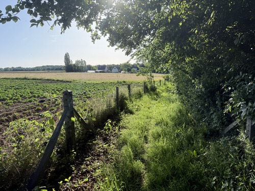 Nous avons tourné vers l'est et longeons le hameau de la Grande Rue, le long d'une ferme qui reconstruit son clos masure (voir l'album de la rando).