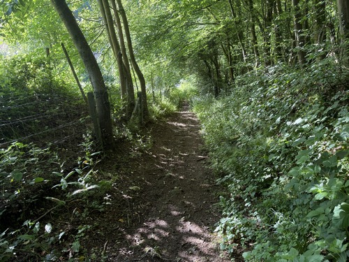 Passage boisé près de la route du Val au Cesne, avec un passage caillouteux un peu plus loin (voir l'album).