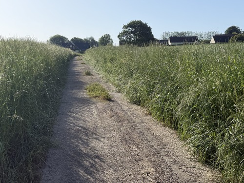 Nous arrivons sur le chemin du Hameau Yvelin, qui devient rue dans le hameau.