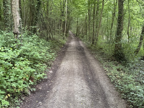 Le chemin monte paisiblement vers le hameau du Mont Landrin.