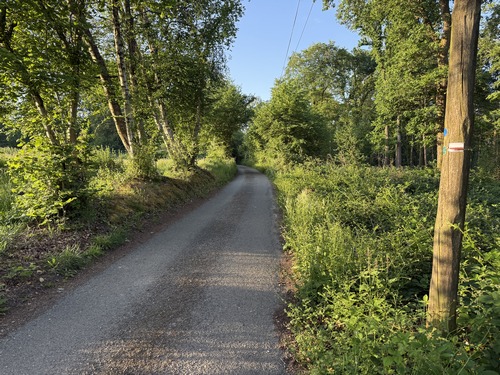 Au niveau du hameau, le chemin rejoint cette petite route.