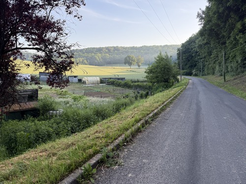 Après la rue du Thil, nous sommes passés sous la ligne Rouen - Dieppe et marchons maintenant sur la rue du Fond du Bois, petite route déserte.