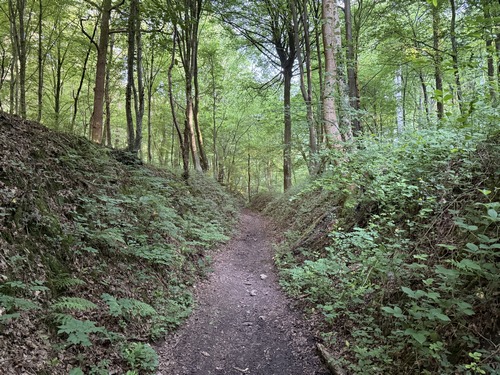Le chemin sépare le bois de Grugny du bois de la Chapelle. Il nous conduit directement à Grugny.