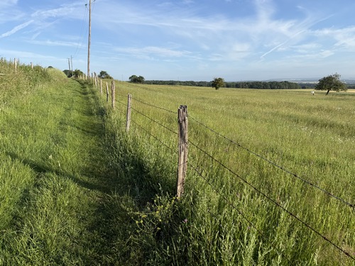 Le chemin ouvre la perspective sur la plaine de Villers.