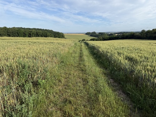 Le chemin du stade devient un chemin de plaine qui rejoint la lisière du bois de la Fayel. Nous contournons le bois de Fayel pour rejoindre la route de Venables (D65), avec encore ces paysages de plaines agricoles parsemée de bois.