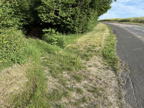 Attention sur la D65, nous ne la suivons que sur quelques dizaines de mètres, mais elle se rétrécit au passage du ruisseau: deux voitures peinent à se croiser, si l'on ajoute des randonneurs ça devient serré. Nous quittons cette route pour entrer ici dans le bois de la Fayel.
