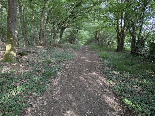 Bref passage dans le bois de la Fayel.