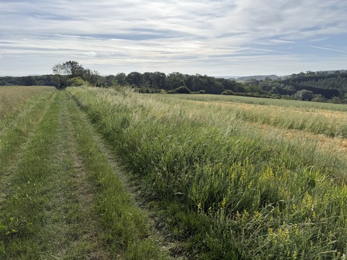 Le chemin du Vau Genêt ouvre la perspective sur le bois de la Fayel, celui de la Caboche, et au loin celui de la Grande Garenne.