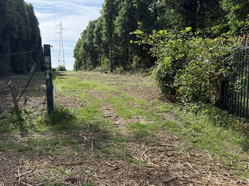 Nous entrons dans le bois de Tournebut par cette coupe sous la ligne à haute tension. Il y a une barrière, mais pas d'inquiétude, le passage est balisé par des chemins officiels.