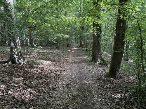 Le bois de Tournebut appartient maintenant à l'Agglo Seine-Eure, ainsi que le château éponyme.