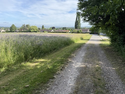 Nous sortons du bois. Curieusement, nous venons de franchir une grande ouverture dans le grillage, à côté d'une barrière équipée d'un cadenas !? Nous sommes pourtant sur la partie du bois qui appartient à la commune de Villers. Est-ce une relique de l'ancienne propriété privée ? Nous allons entrer dans le bourg pour fermer la boucle.