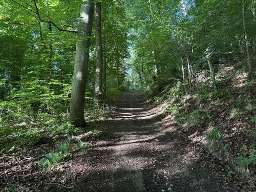 La montée vers la chapelle de Bethléem est assez sportive, et débouche sur ce large chemin.