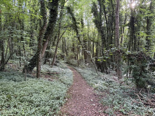Nous sommes maintenant dans le bois de Tournebut, balisé par plusieurs circuits de la commune de Val d'Hazey.