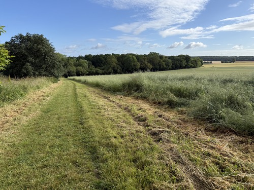 Nous marchons en lisière du bois de la Fayel pour tourner ensuite vers Villers.