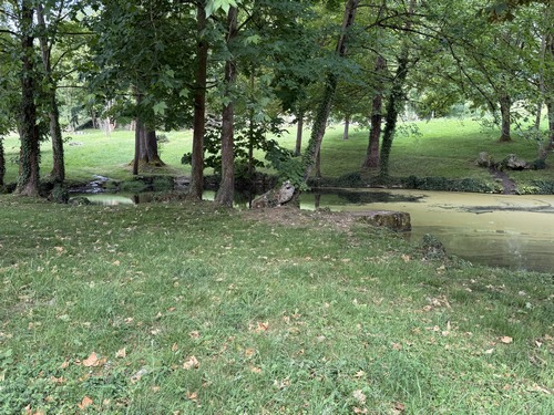 Retour dans le parc de la Créquinière près du plan d'eau.