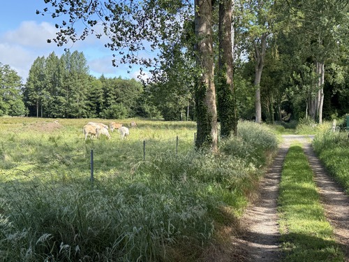 Paysages de Saâne. Le chemin des Frênettes est ponctué de panneaux d'informations sur le lièvre. C'est la Piste des Lièvres. Ne cherchez pas d'information sur la Saâne, ou sur la faune locale: seul le lièvre est à l'honneur sur ce circuit.