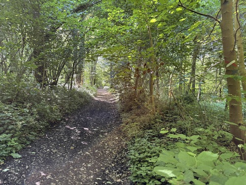 Nous quittons le GR212 pour tourner à droite avant Auzouville, et remonter vers le plateau.