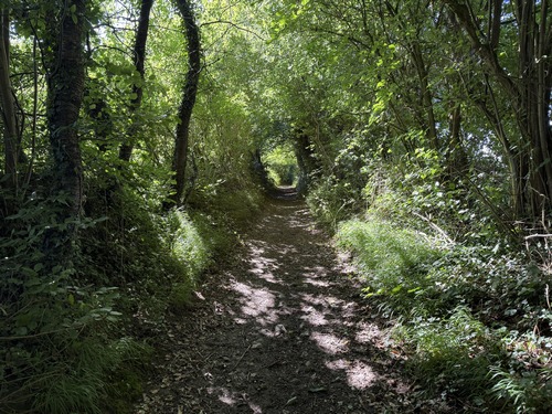 A Lestanville, nous rejoignons la D55, et tout de suite tournons à droite sur ce magnifique chemin mais dont l'entrée est très discrète.