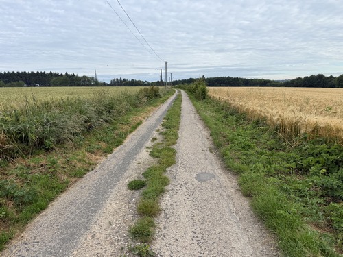 Nous quittons le bourg (et le GR) pour suivre ce Chemin de la Robinette, d'autant plus tranquille que c'est une voie sans issue.
