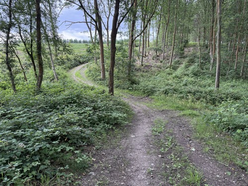 Sur le plateau, nous tournons vers le sud sur le chemin de lisière.